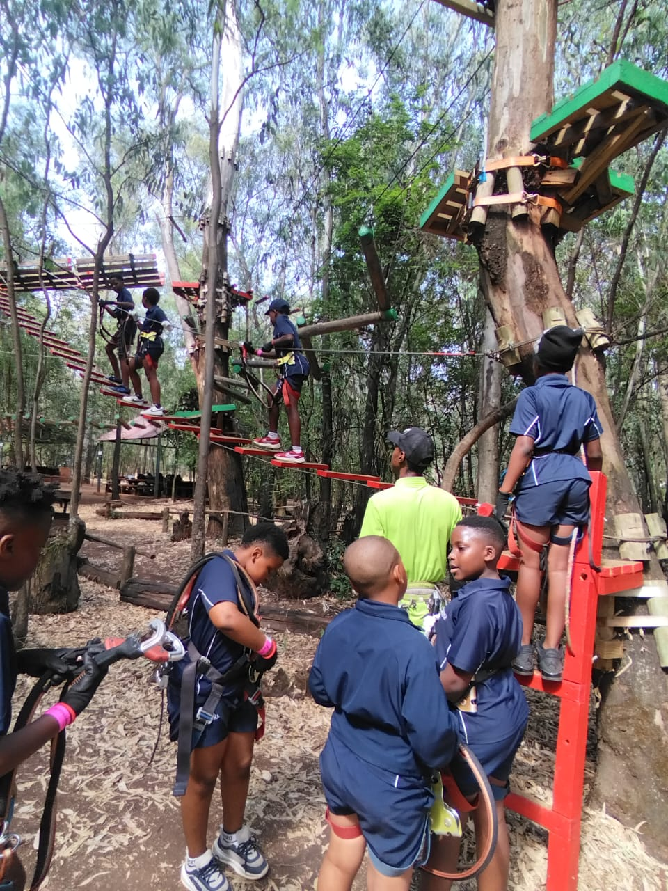 Acrobranch — Tree Top Adventures — 4