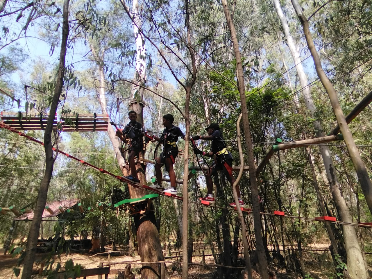 Acrobranch — Tree Top Adventures — 5