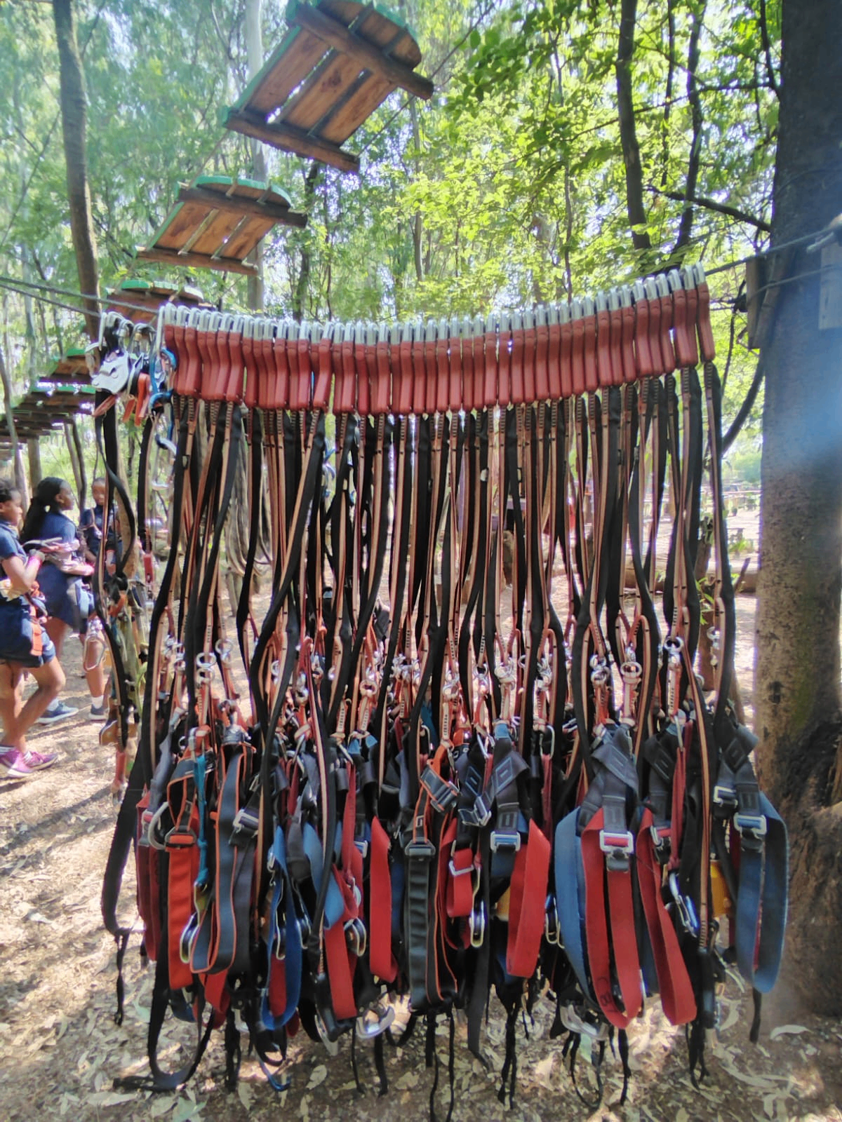 Acrobranch — Tree Top Adventures — 6