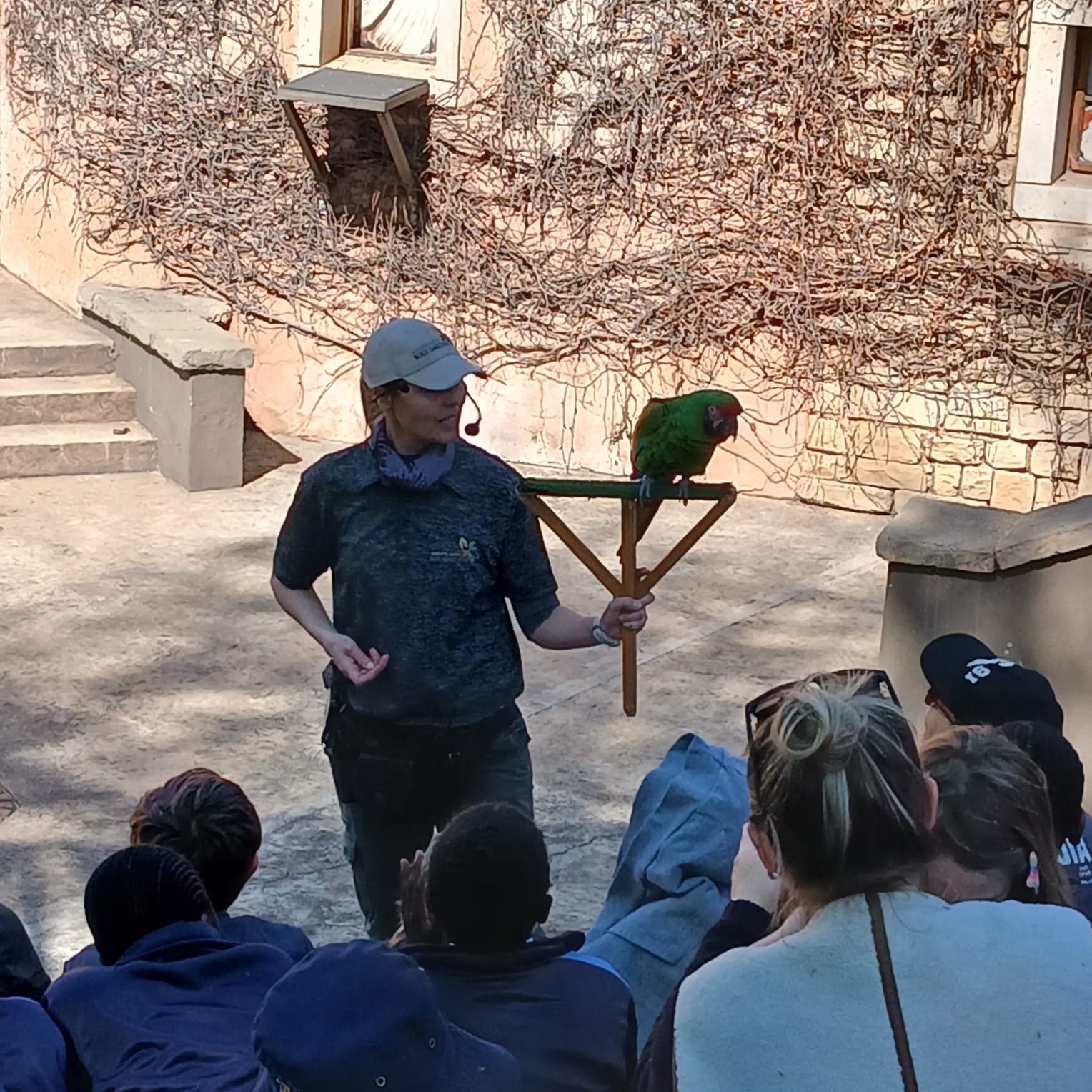 Montecasino Bird Gardens — 3