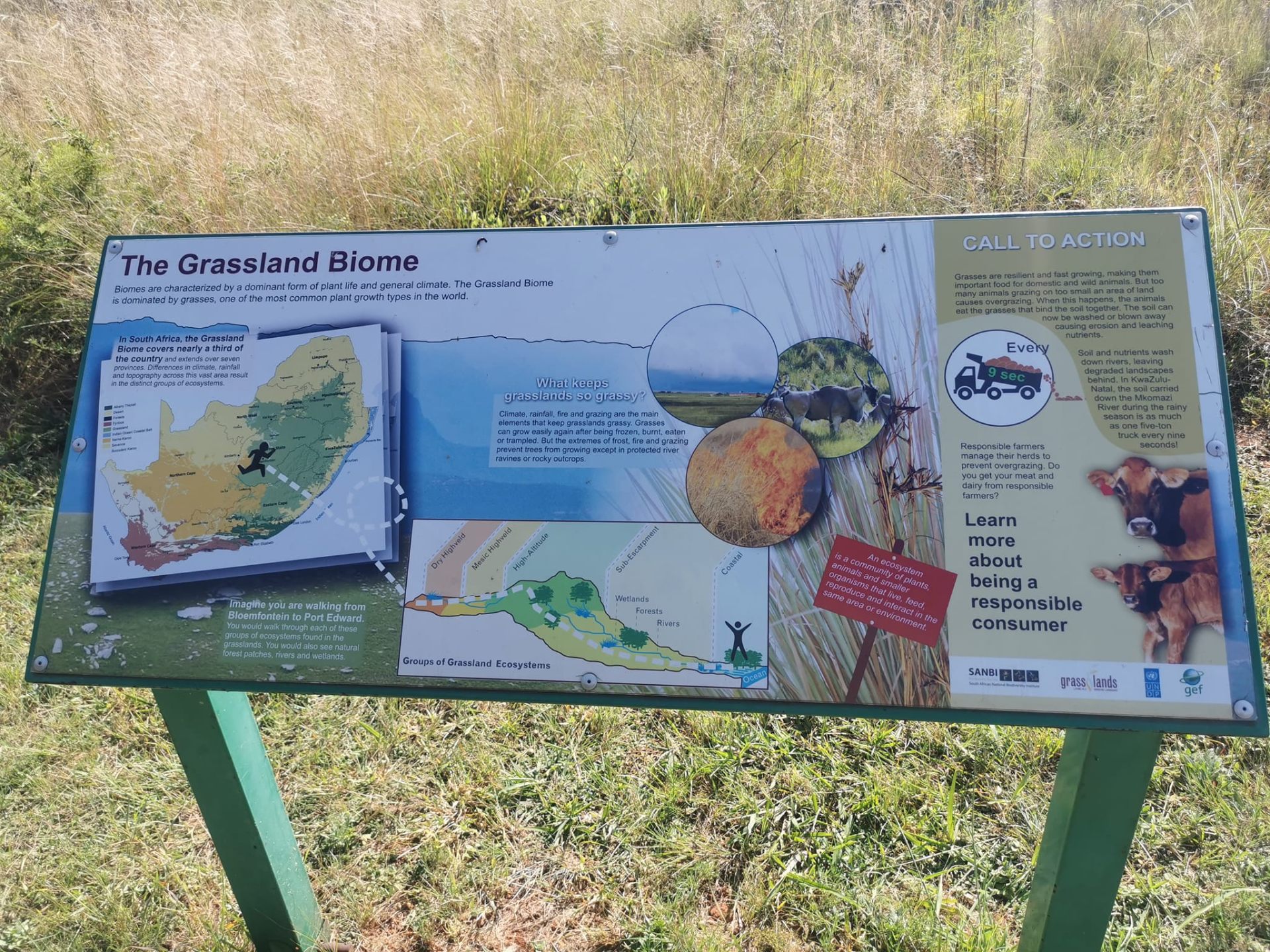 Pretoria Botanical Garden Outdoor Excursion — 10