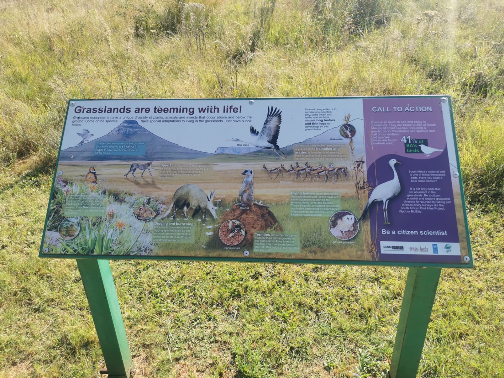 Pretoria Botanical Garden Outdoor Excursion — 11