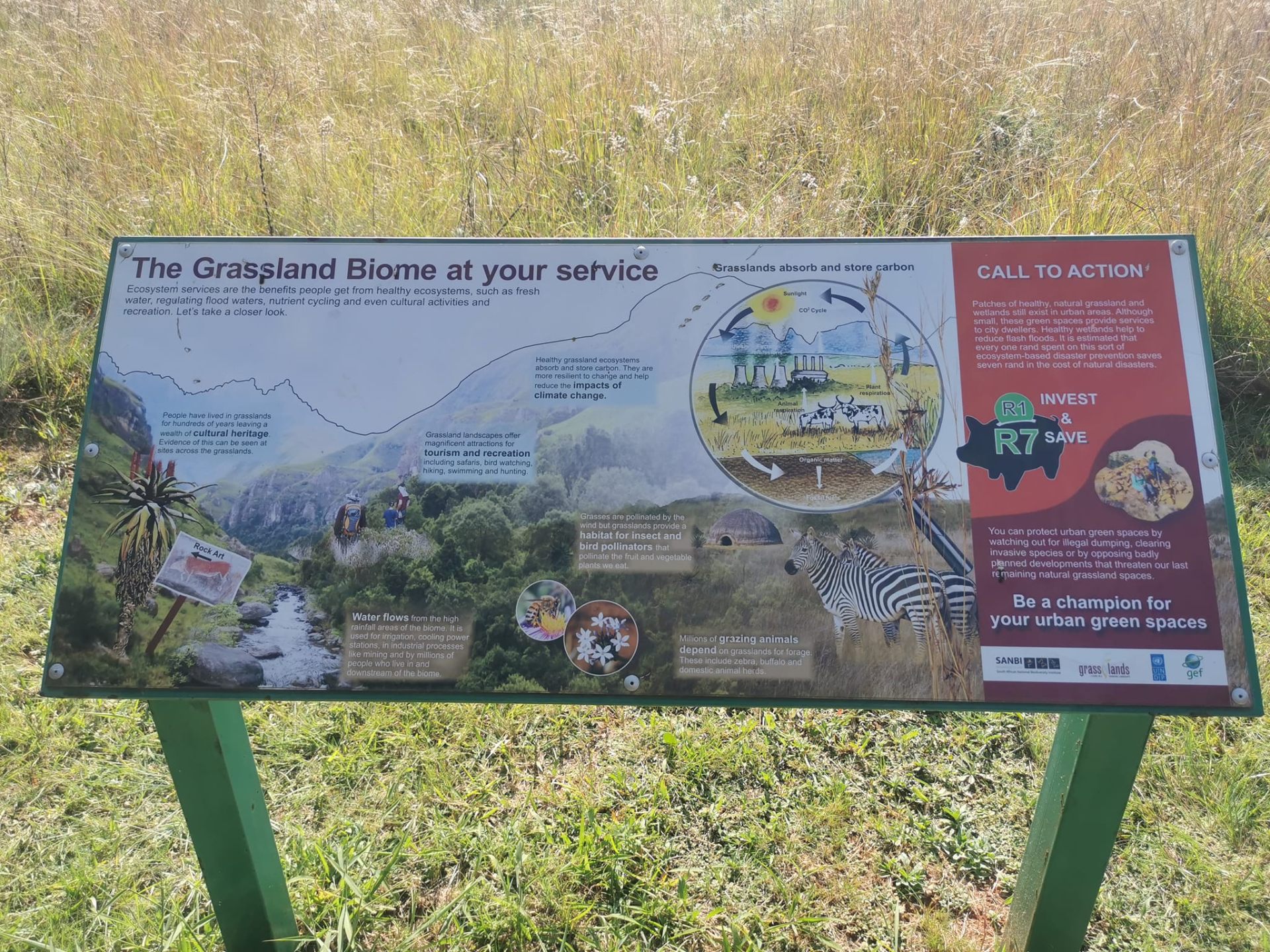 Pretoria Botanical Garden Outdoor Excursion — 12