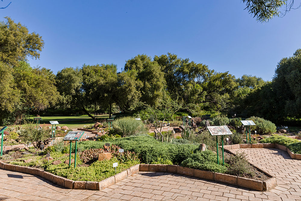 Pretoria Botanical Garden Outdoor Excursion — 2