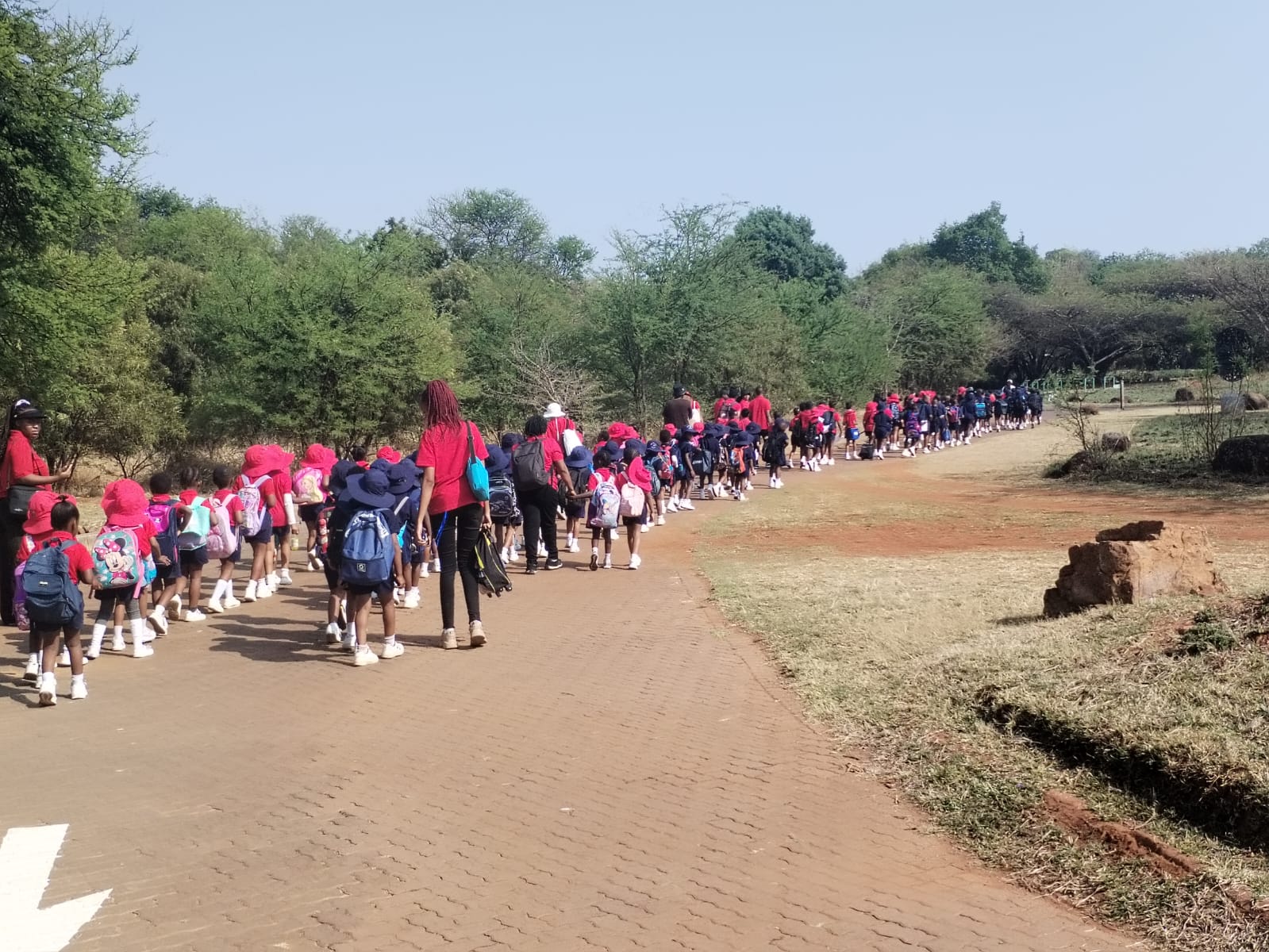 Pretoria Botanical Garden Outdoor Excursion — 5