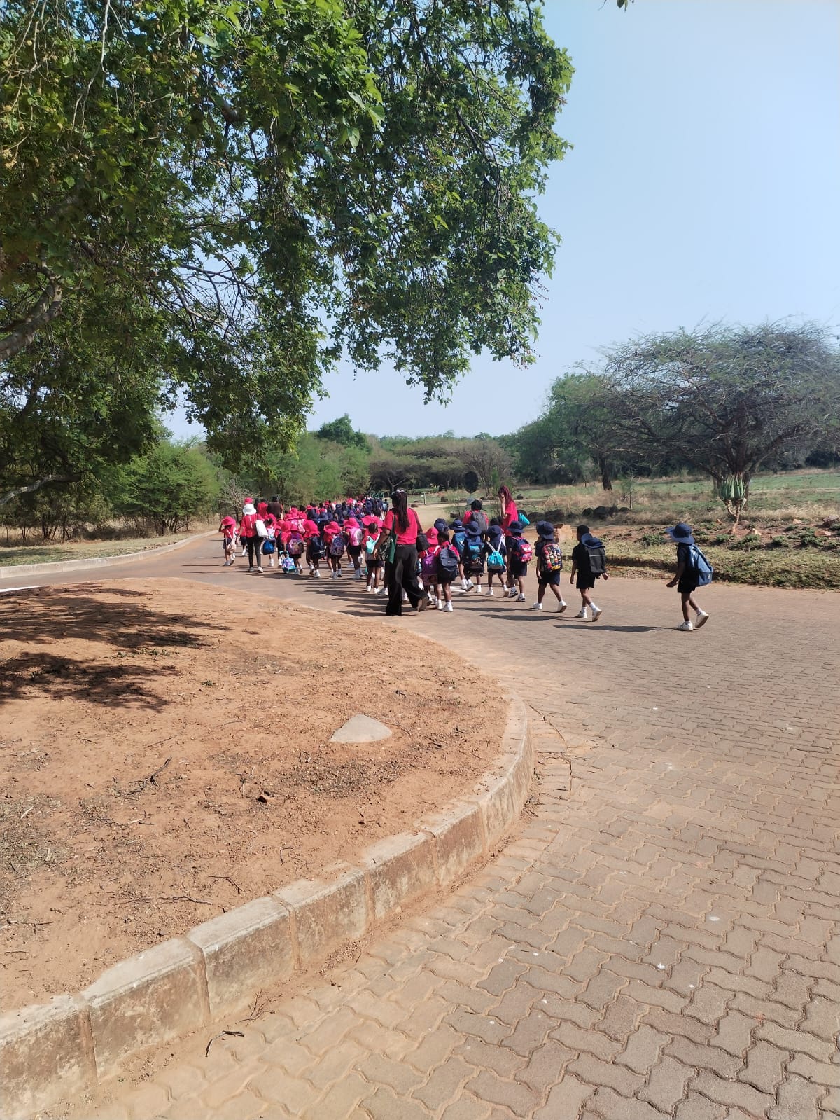 Pretoria Botanical Garden Outdoor Excursion — 6