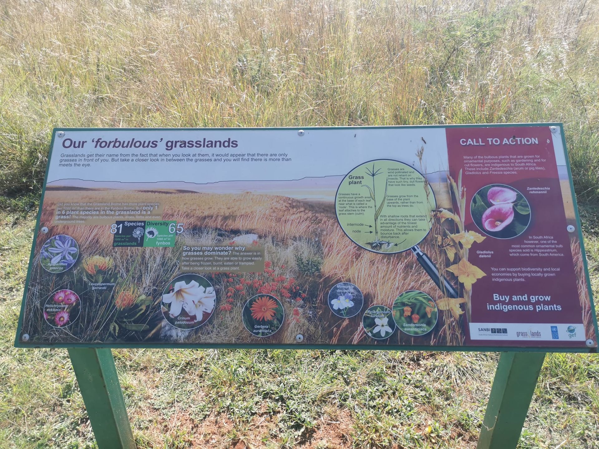 Pretoria Botanical Garden Outdoor Excursion — 9
