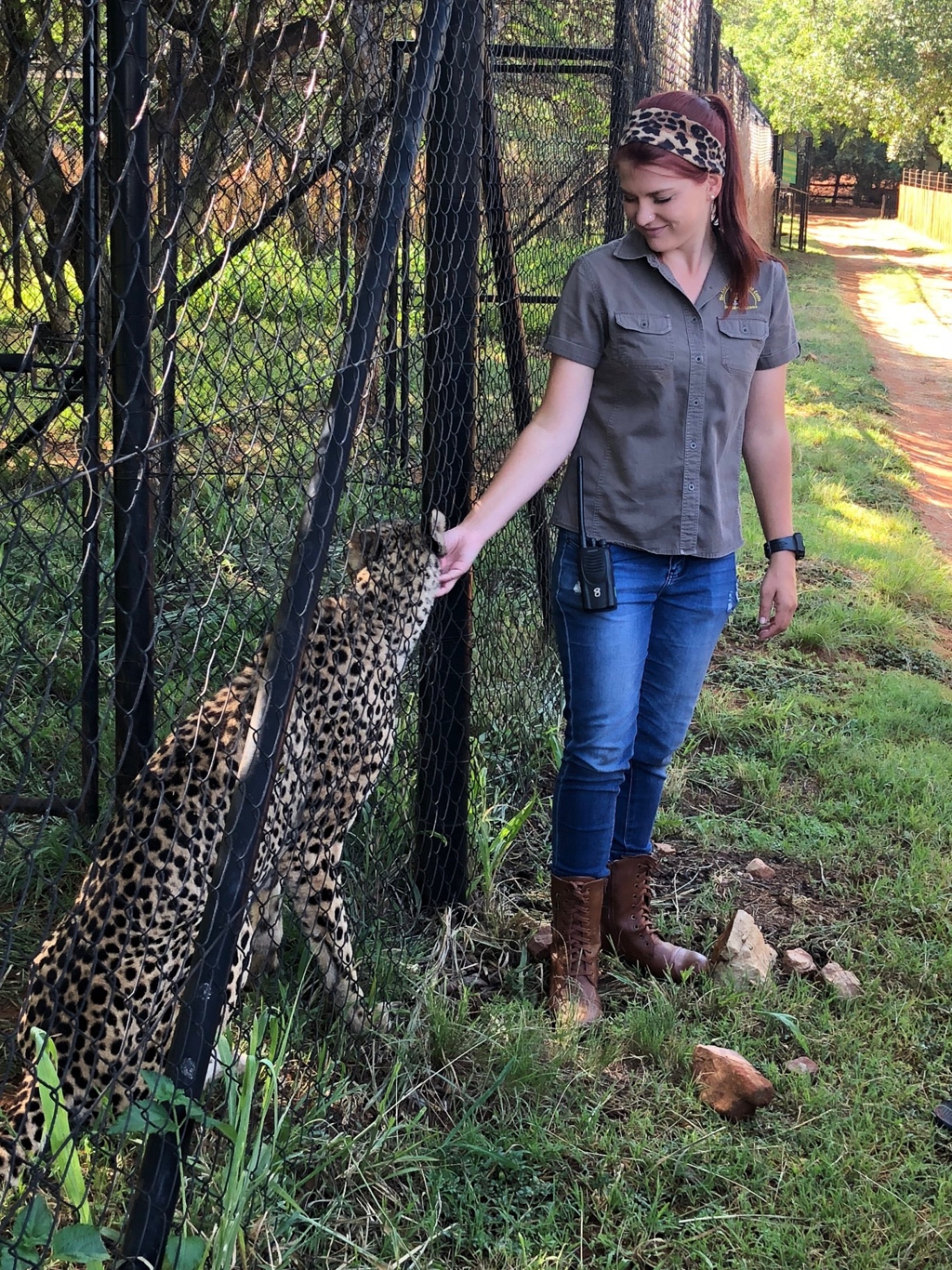 Ann van Dyk Cheetah Centre — 3