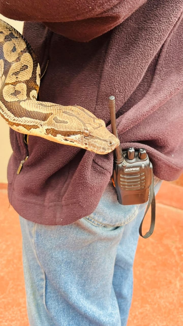 Croc City Crocodile & Reptile Park — 6