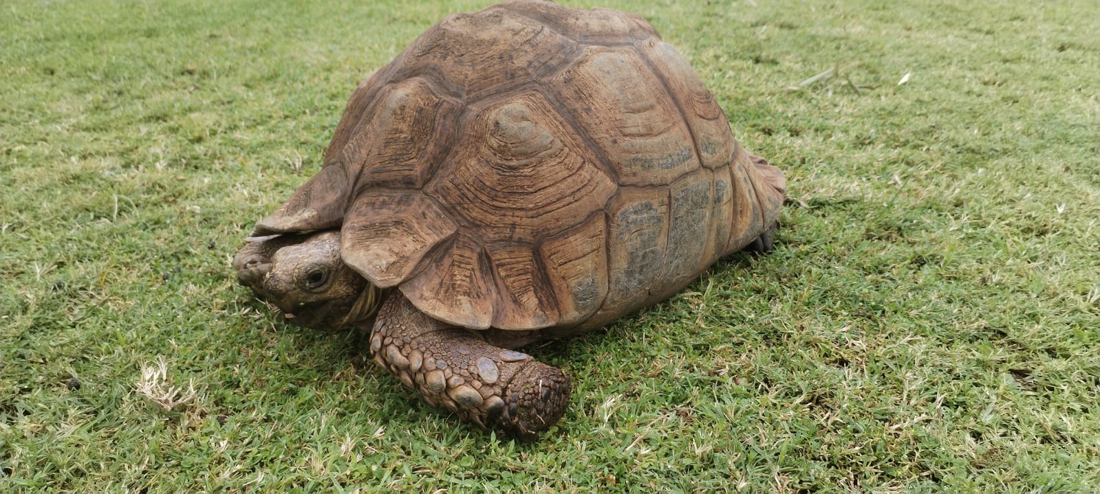 Croc City Crocodile & Reptile Park — 8