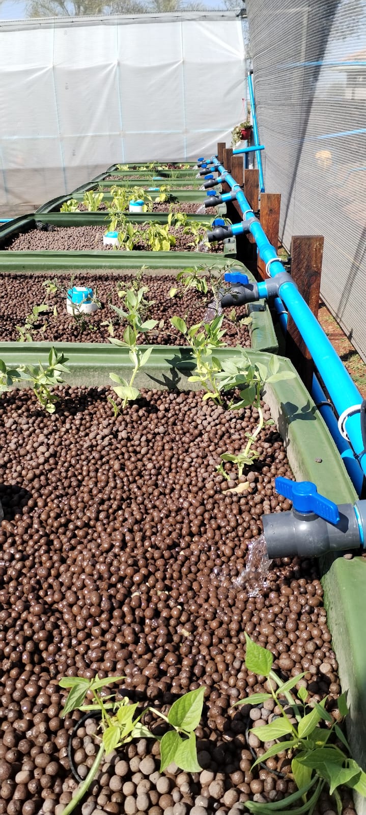 Edu Camp Farm — 10