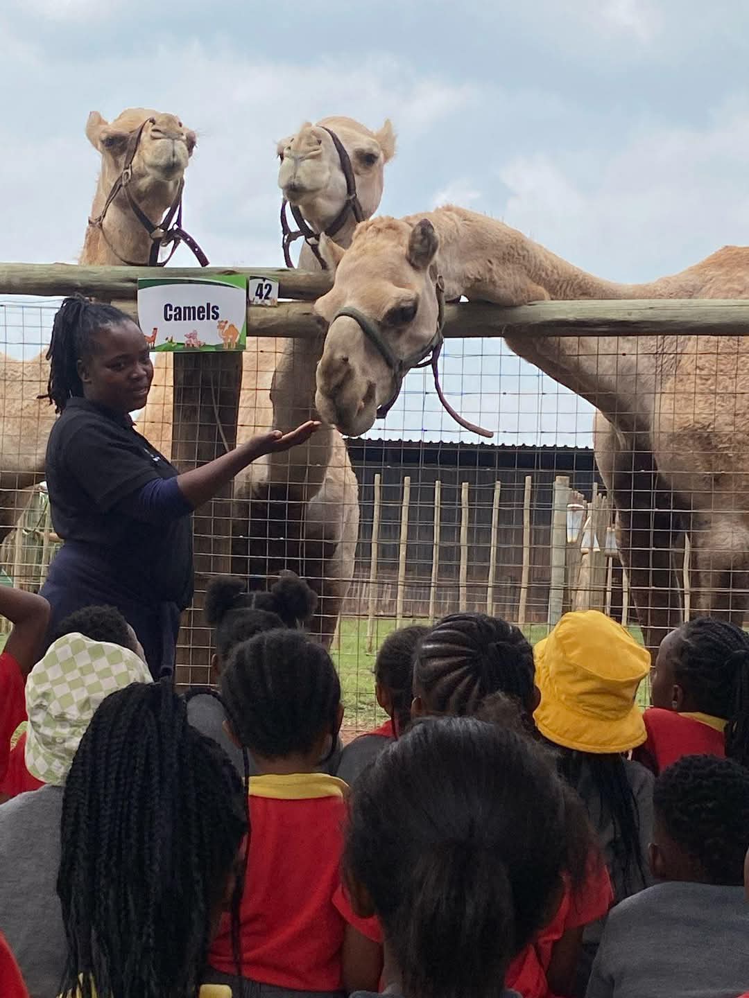 Edu Camp Farm — 8
