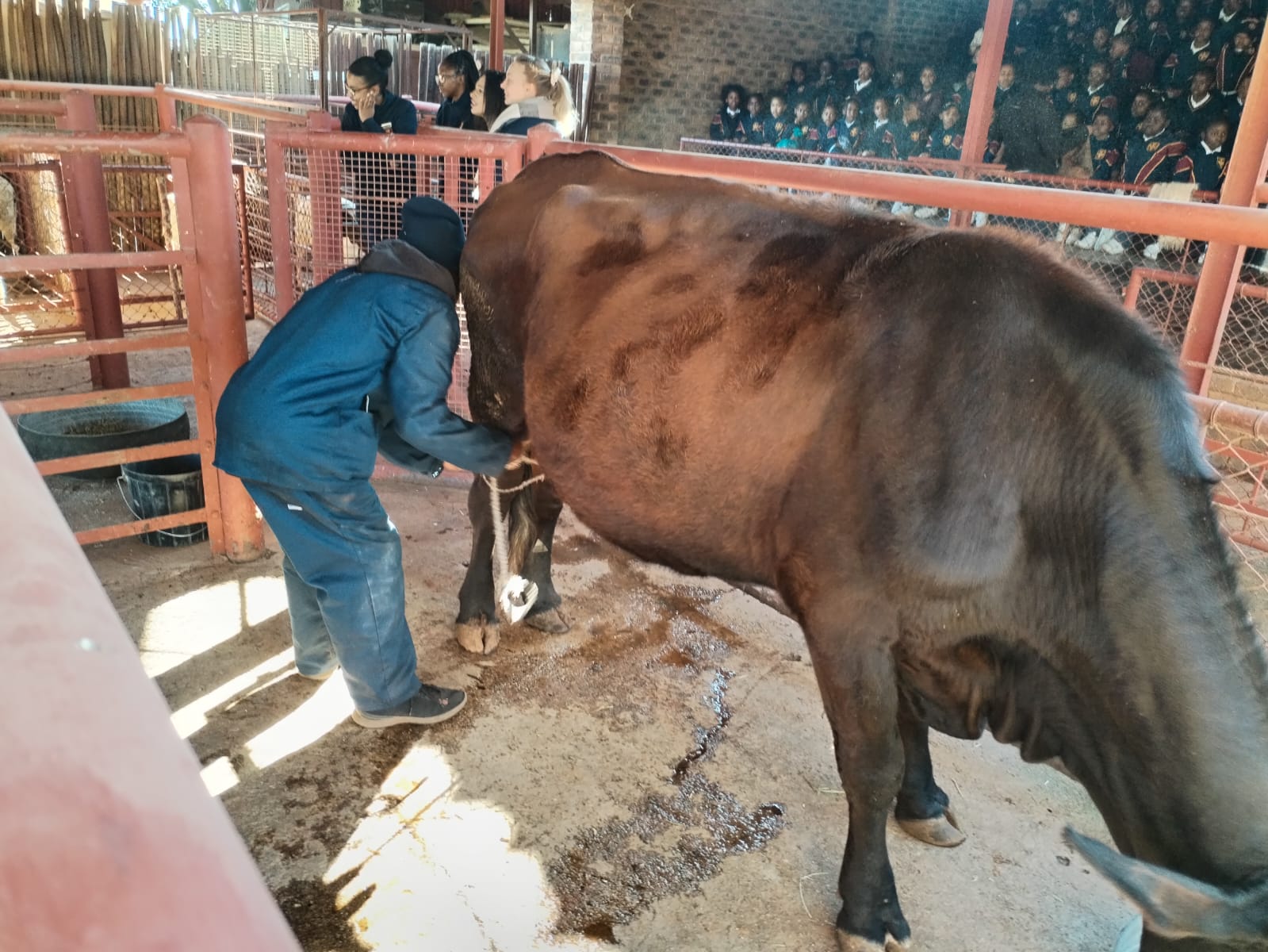 The Farm Yard Tour — 10