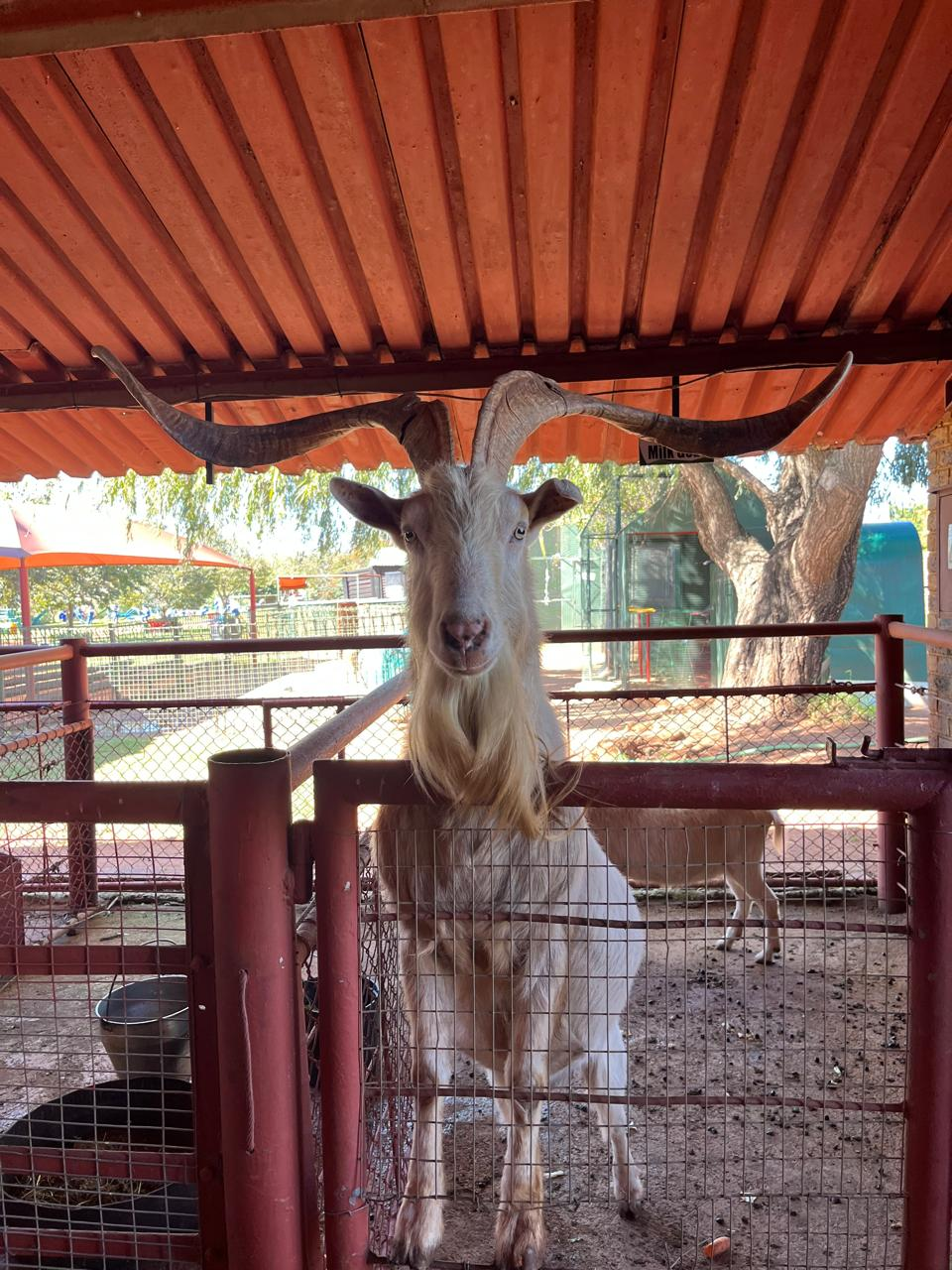 The Farm Yard Tour — 7