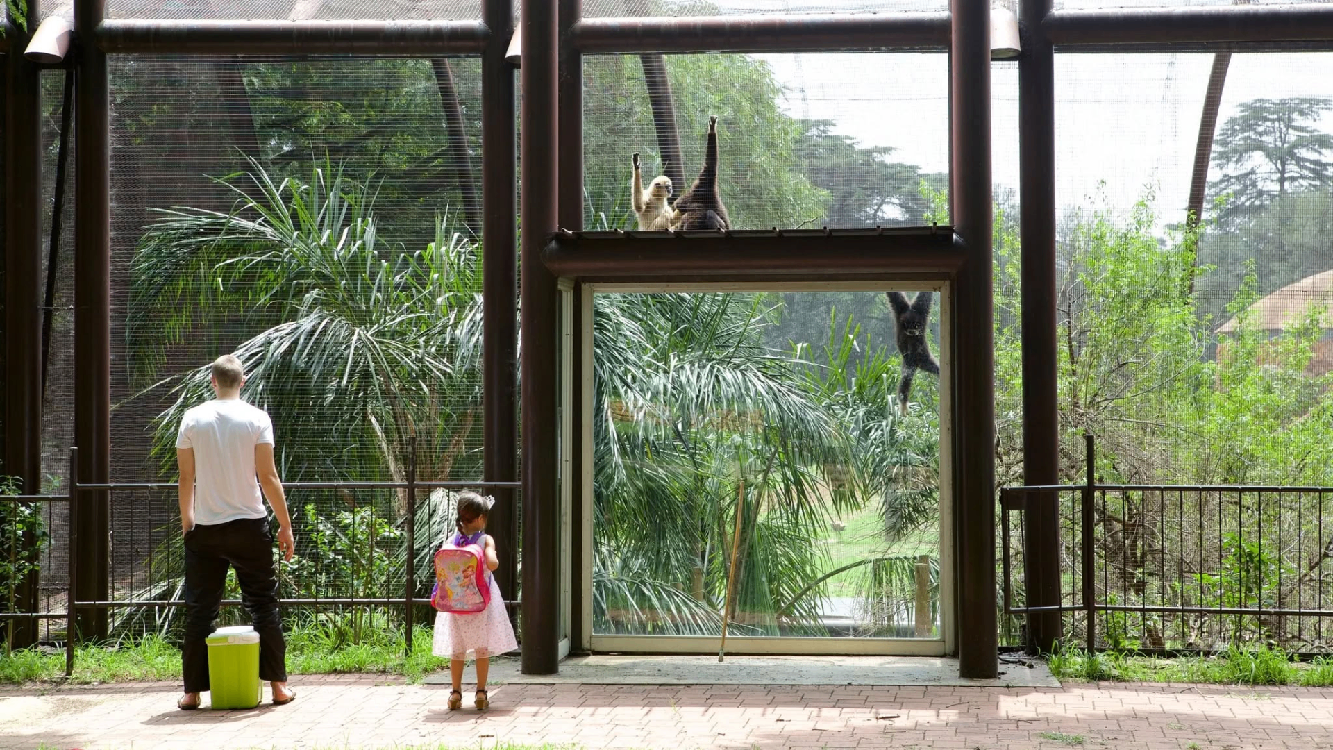 Johannesburg Zoo — 3
