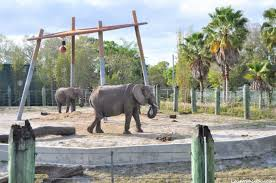 Lowry Park Zoo — 5
