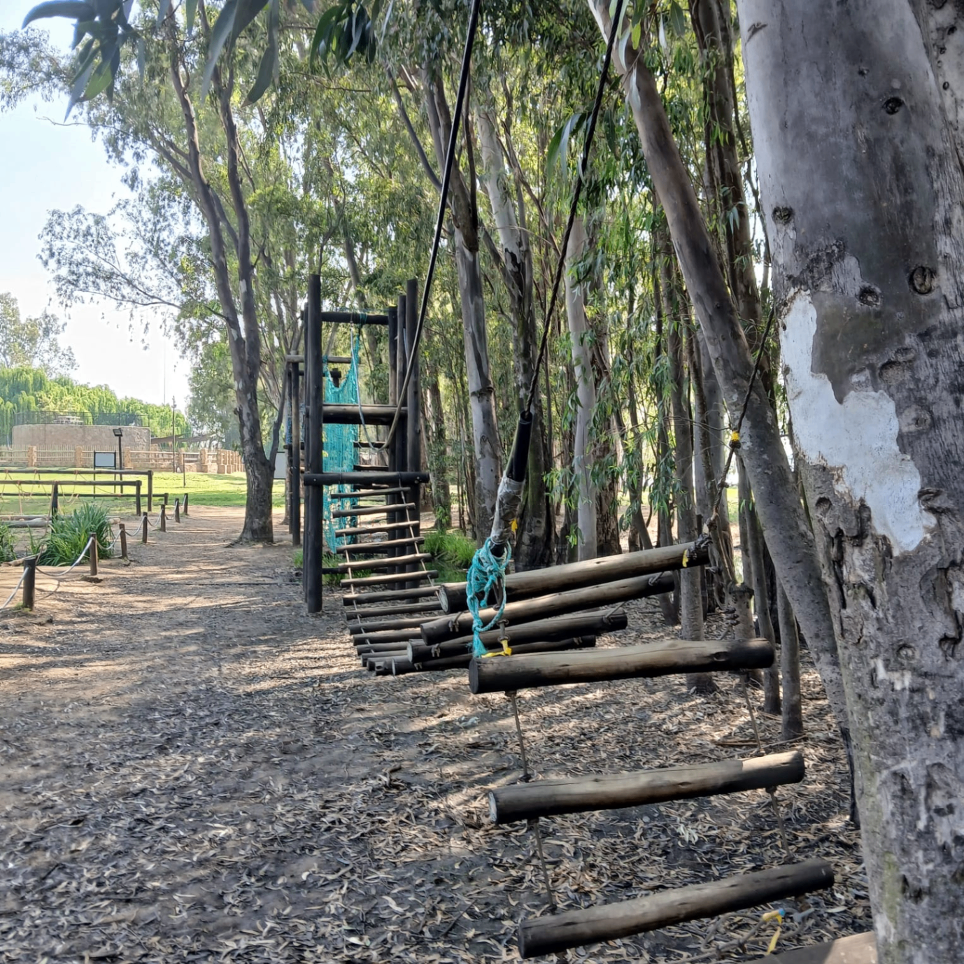 Maraneman Camp — 5