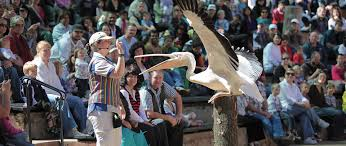 Montecasino Bird Gardens