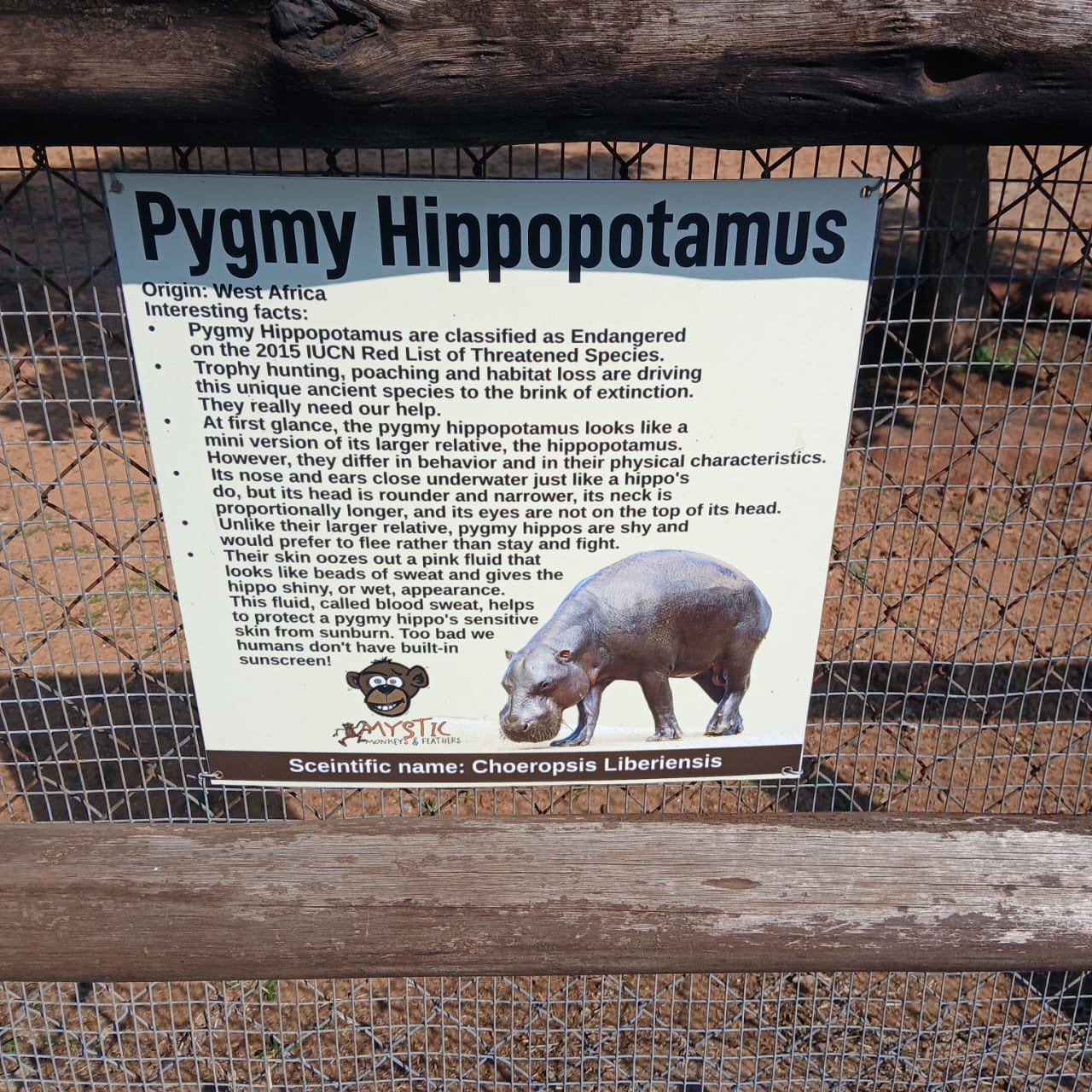 Mystic Monkeys & Feathers Wildlife Park — 4