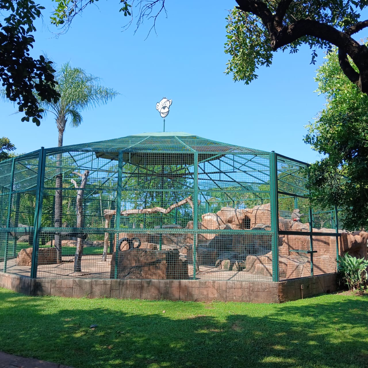 Mystic Monkeys & Feathers Wildlife Park — 5