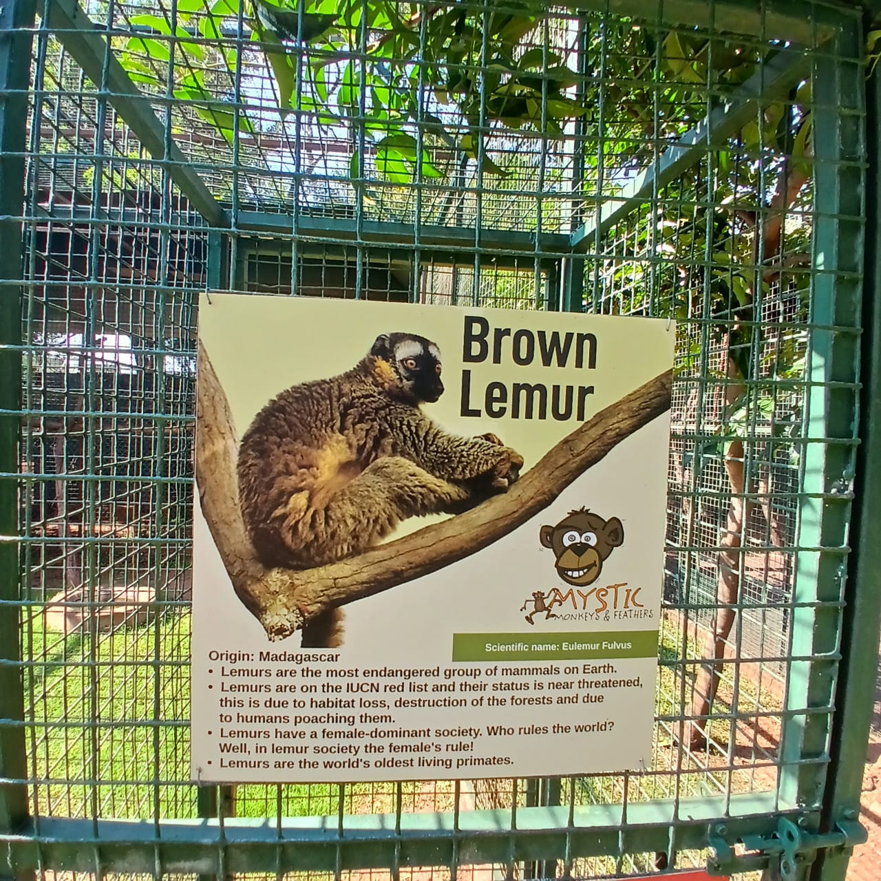 Mystic Monkeys & Feathers Wildlife Park — 7
