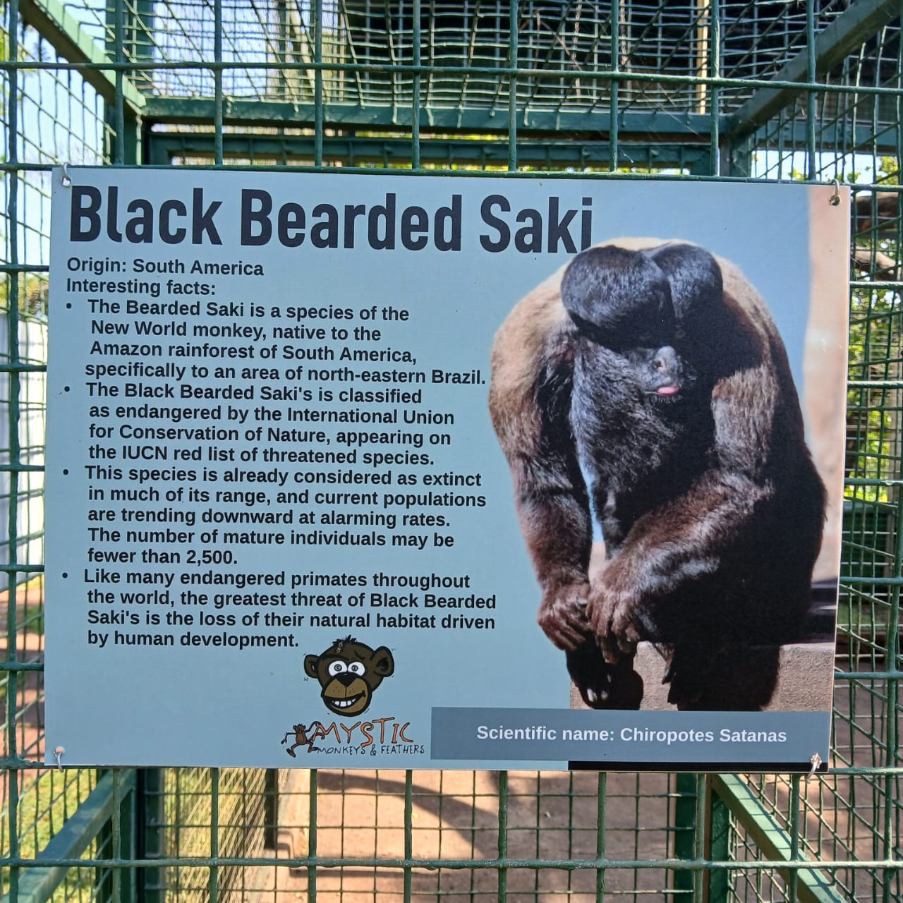 Mystic Monkeys & Feathers Wildlife Park — 8