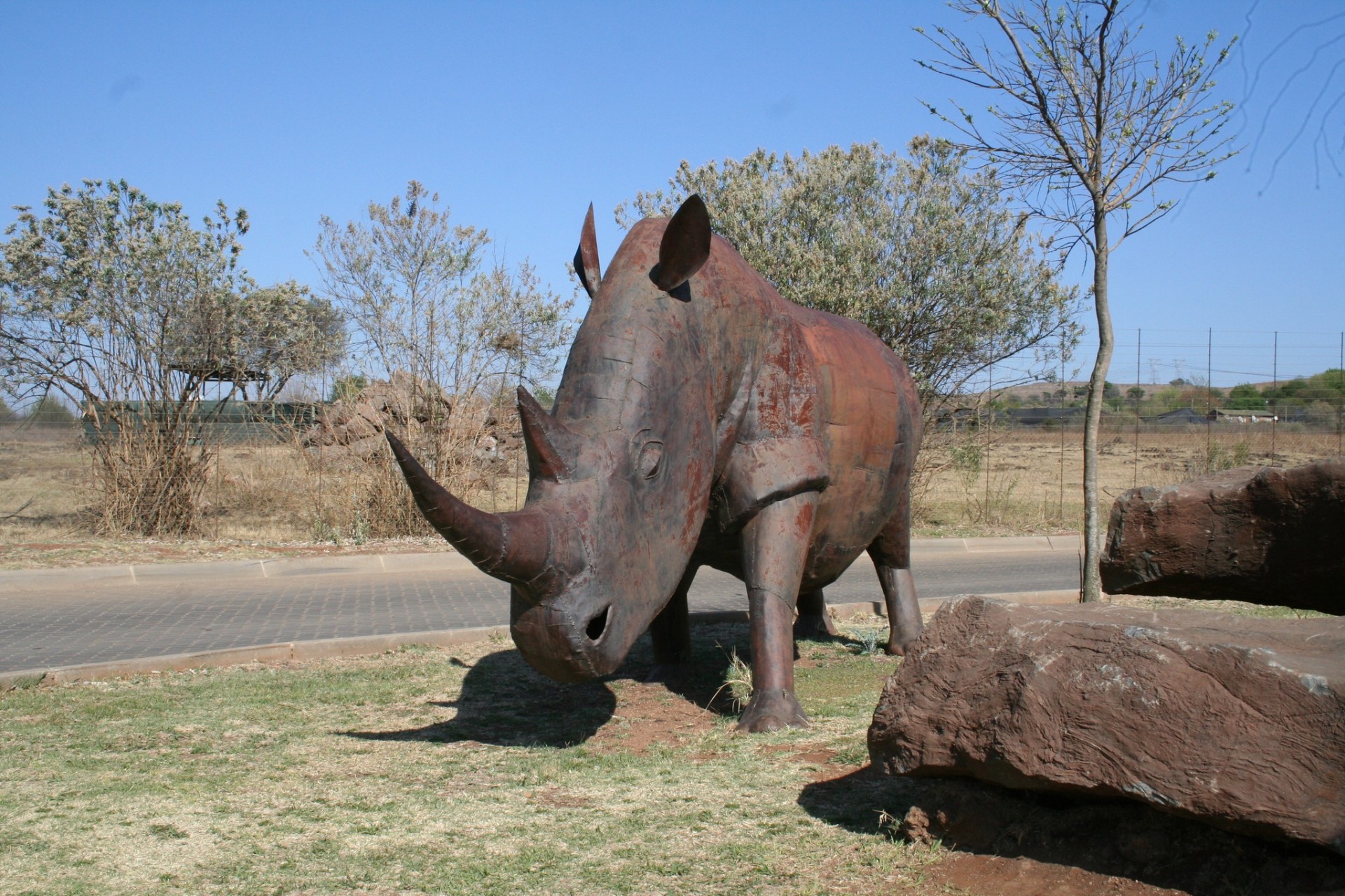 Bothongo Rhino & Lion Nature Reserve — 6