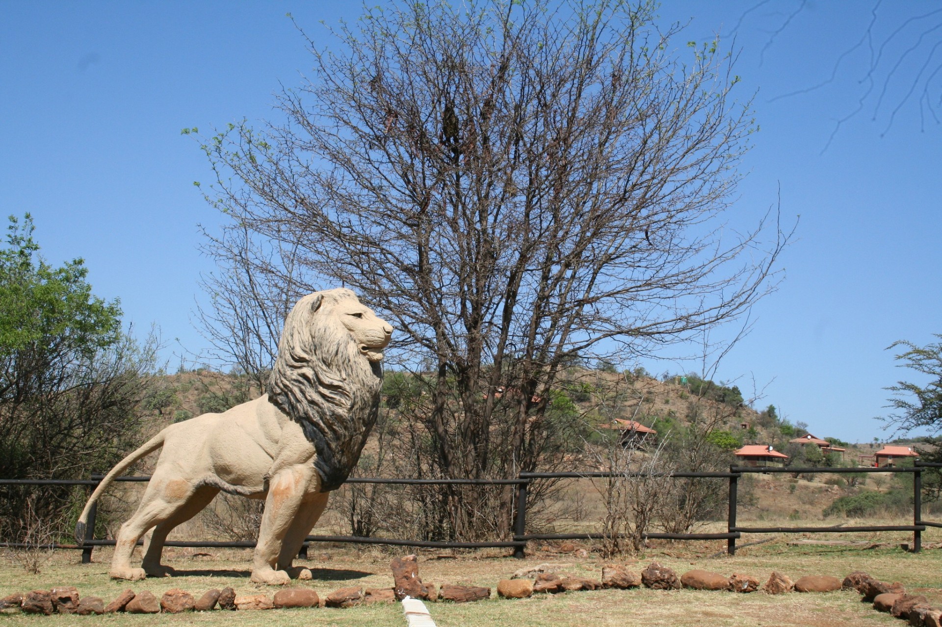 Bothongo Rhino & Lion Nature Reserve — 7
