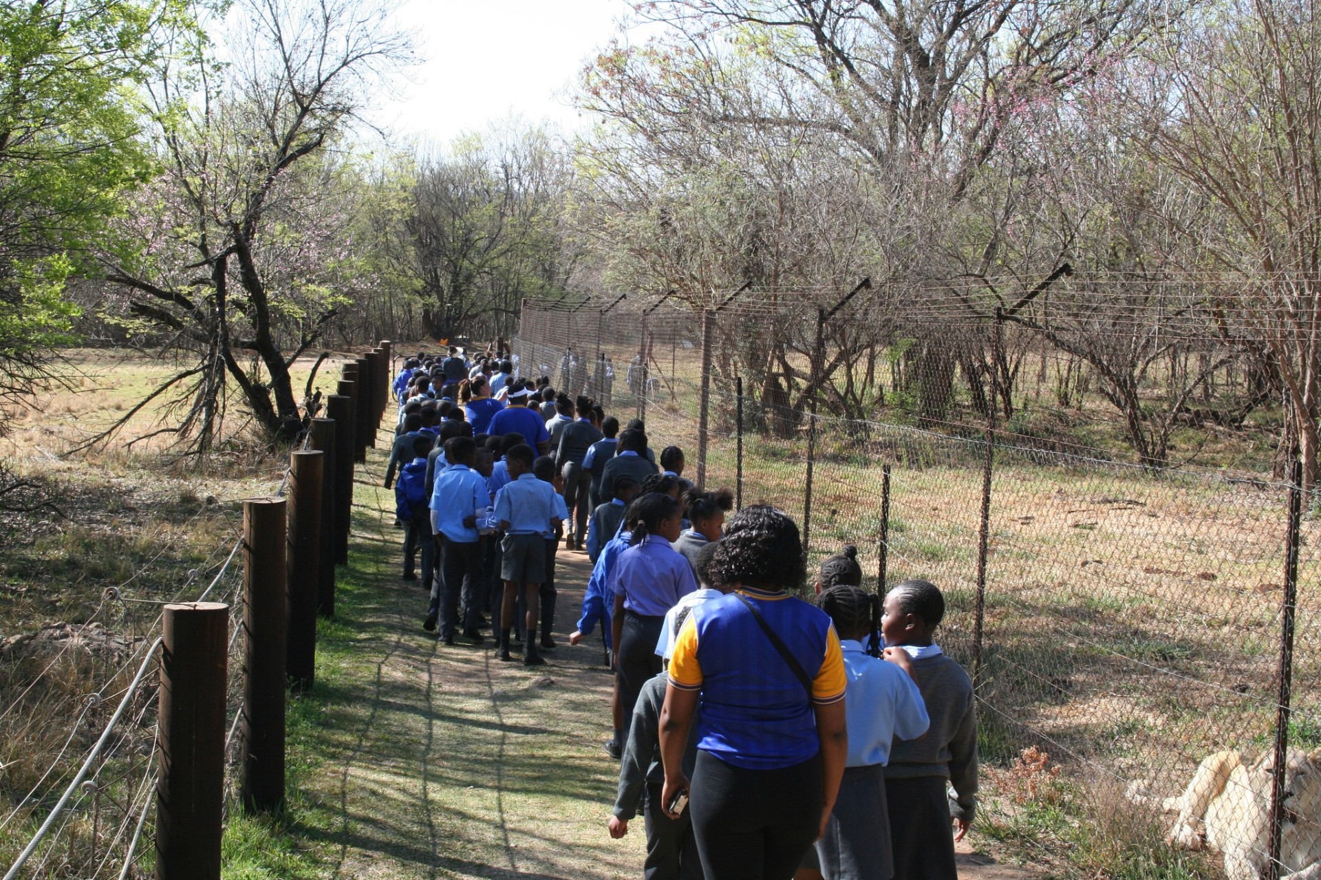 Bothongo Rhino & Lion Nature Reserve — 8
