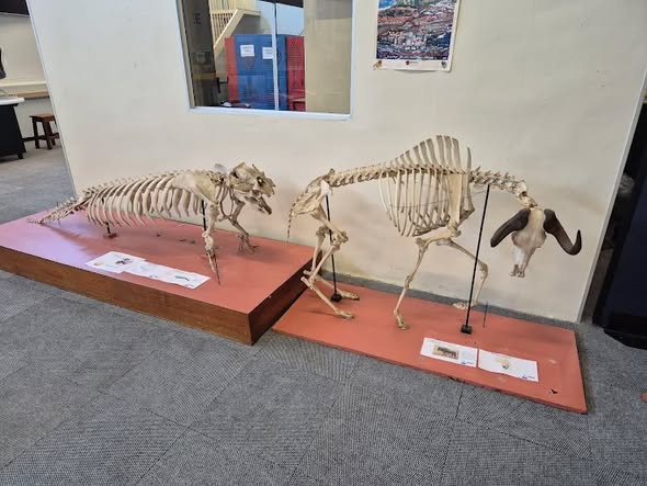 Sci-Enza Science Centre — 1