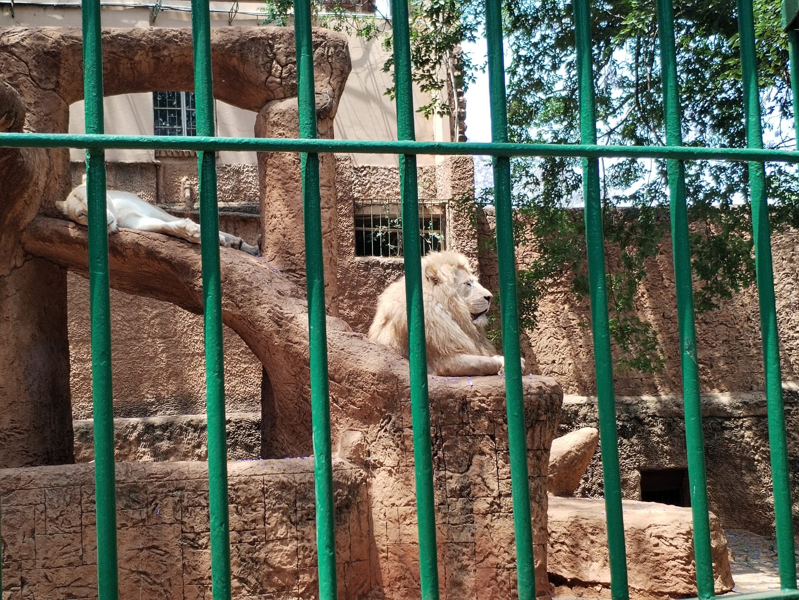 Hartbeespoort Snake & Animal Park — 11
