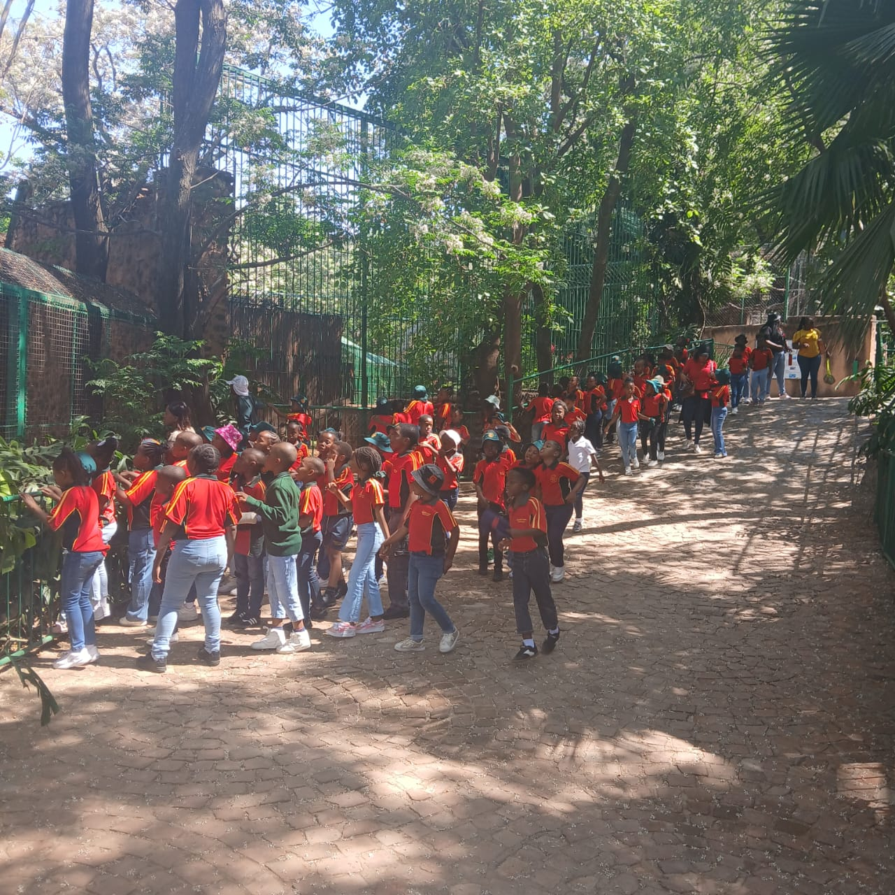 Hartbeespoort Snake & Animal Park — 5