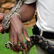 Hartbeespoort Snake & Animal Park — 6