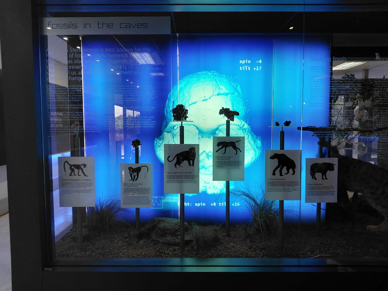 Maropeng & Sterkfontein Caves — 3