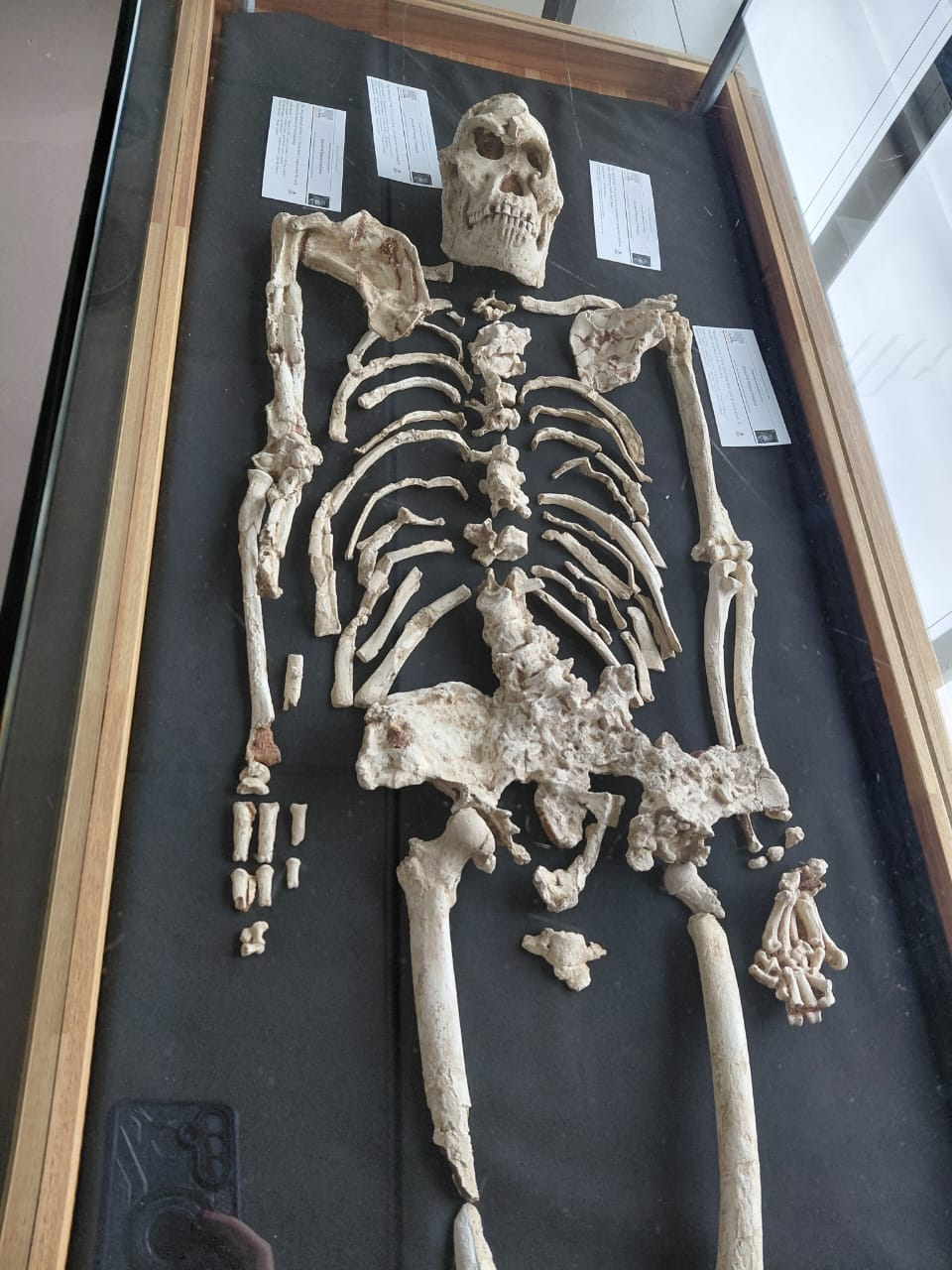 Maropeng & Sterkfontein Caves — 5