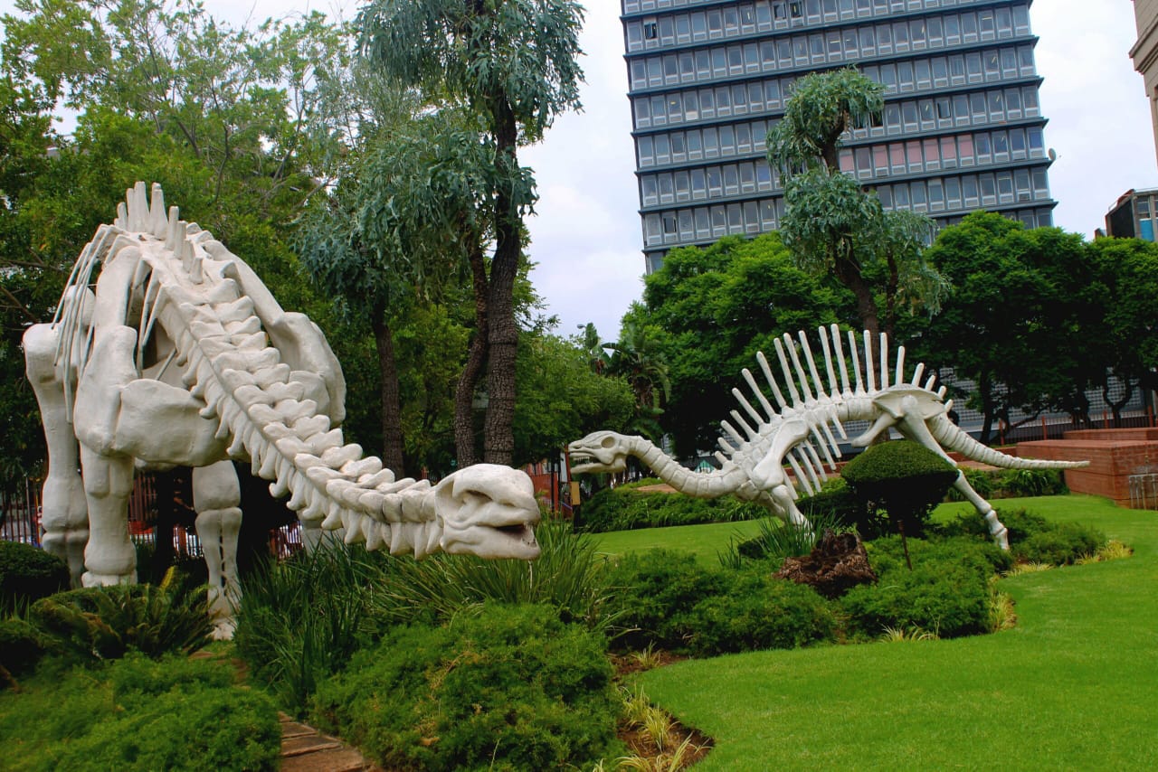 National Museum of Natural History (Transvaal Museum) — 2