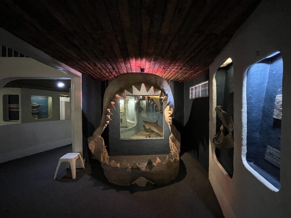 National Museum of Natural History (Transvaal Museum) — 7